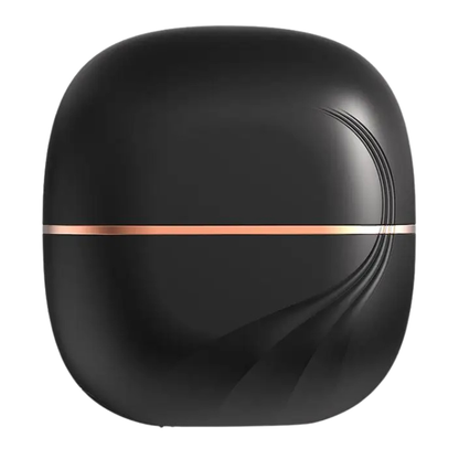 Mini Hair Straightener